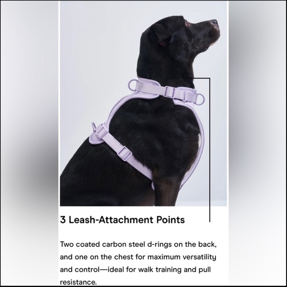 Wild One Dog Harness 3.0 - Large - Spruce - Picture 11 of 14